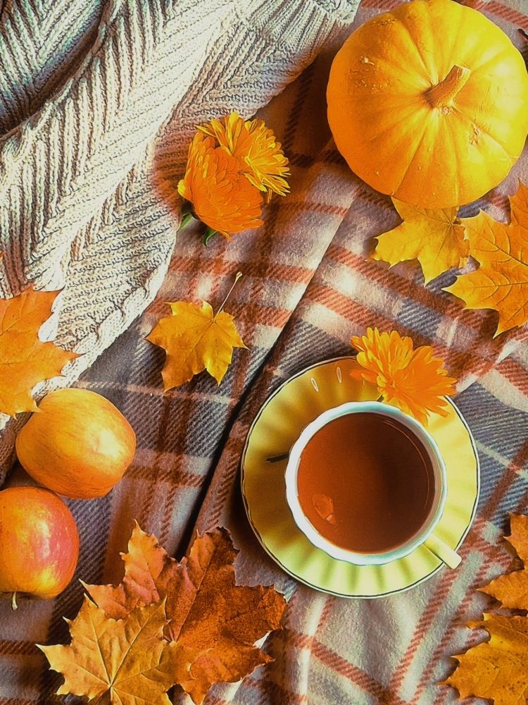 Photograph by Елена Аникеева