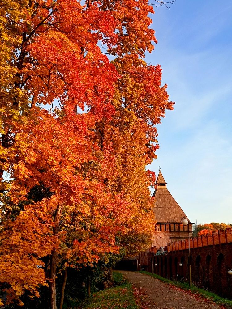 Photograph by Ольга Юрченко