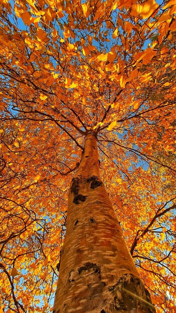 Photograph by Анна Дудко