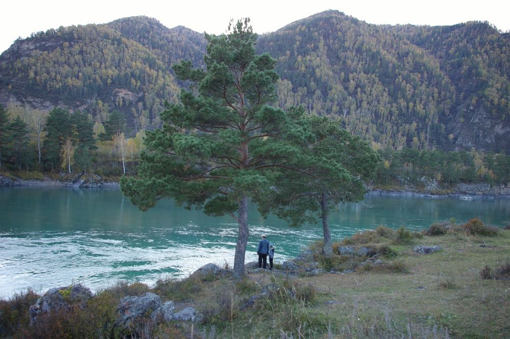 Photograph by Елена Алешкевич