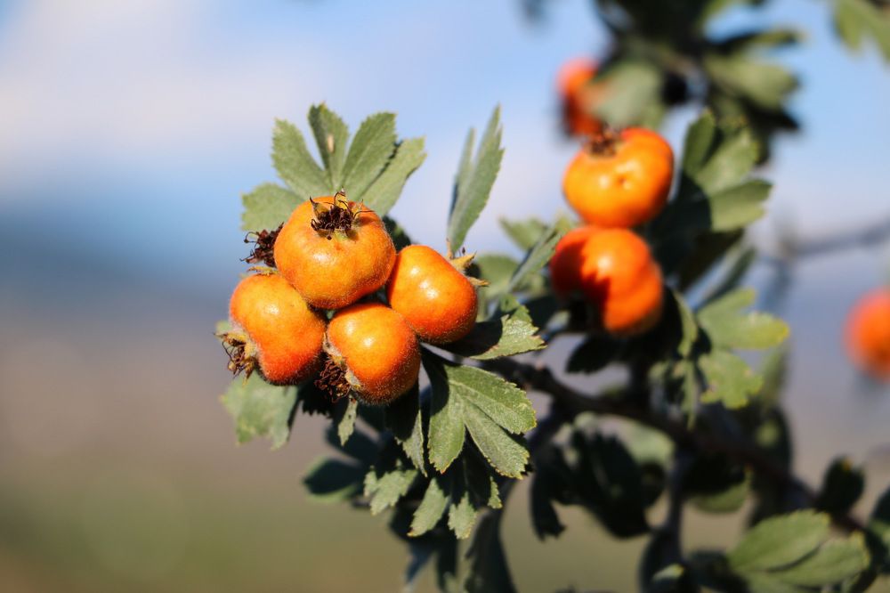 Photograph by Cengiz Yalcin