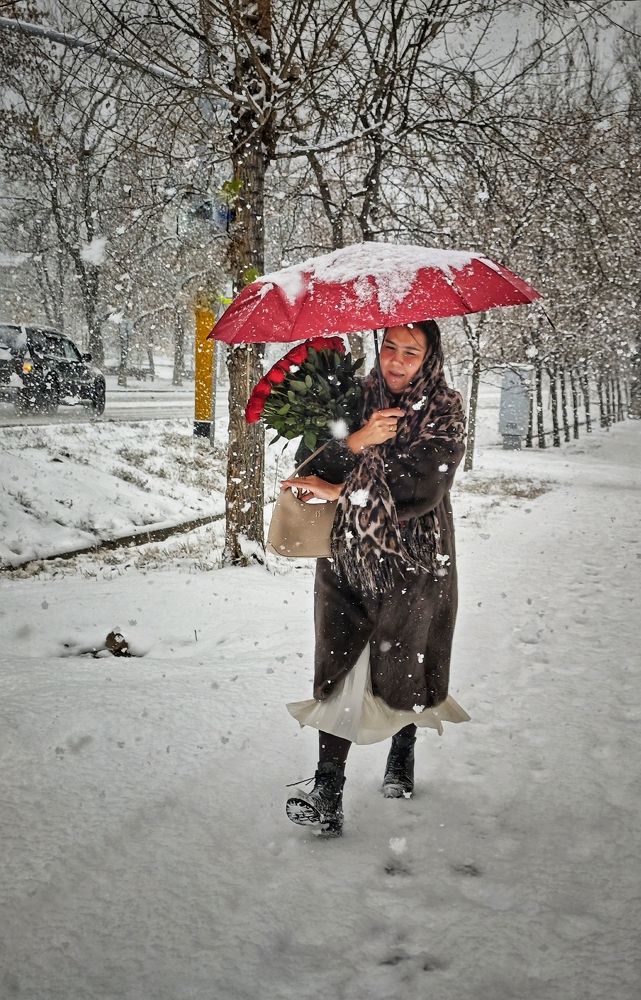 Photograph by Сергей Пермин