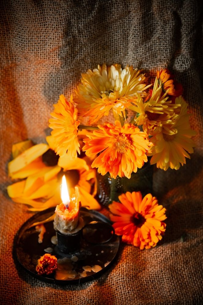 Photograph by Екатерина Одинцова