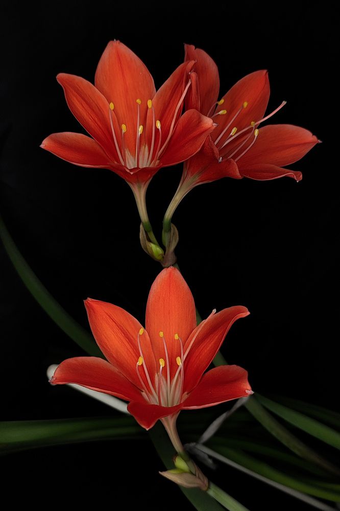 Photograph by Ирина Строкова