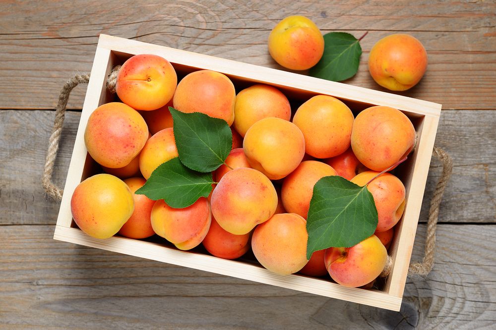 Photograph by Анатолий Садовский