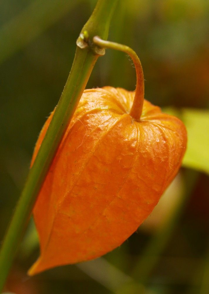 Photograph by Гагик Саркисян