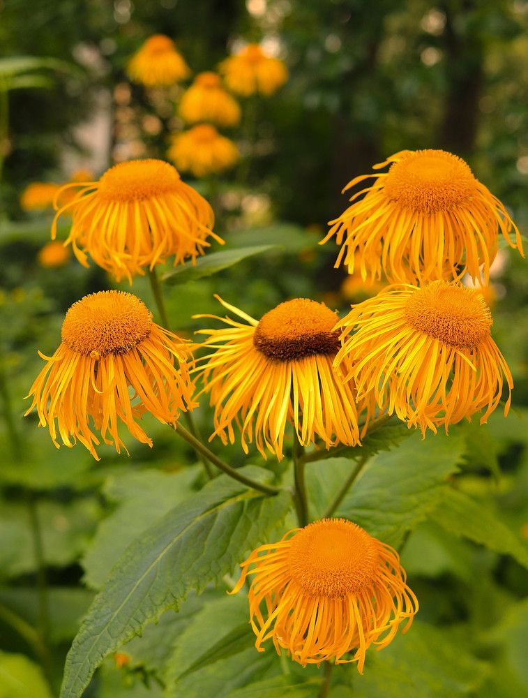 Photograph by Гагик Саркисян