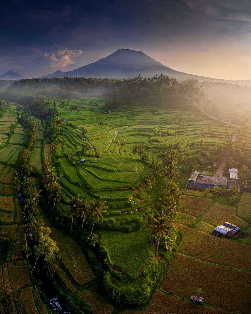 Фотография автора Wahid Hasyim