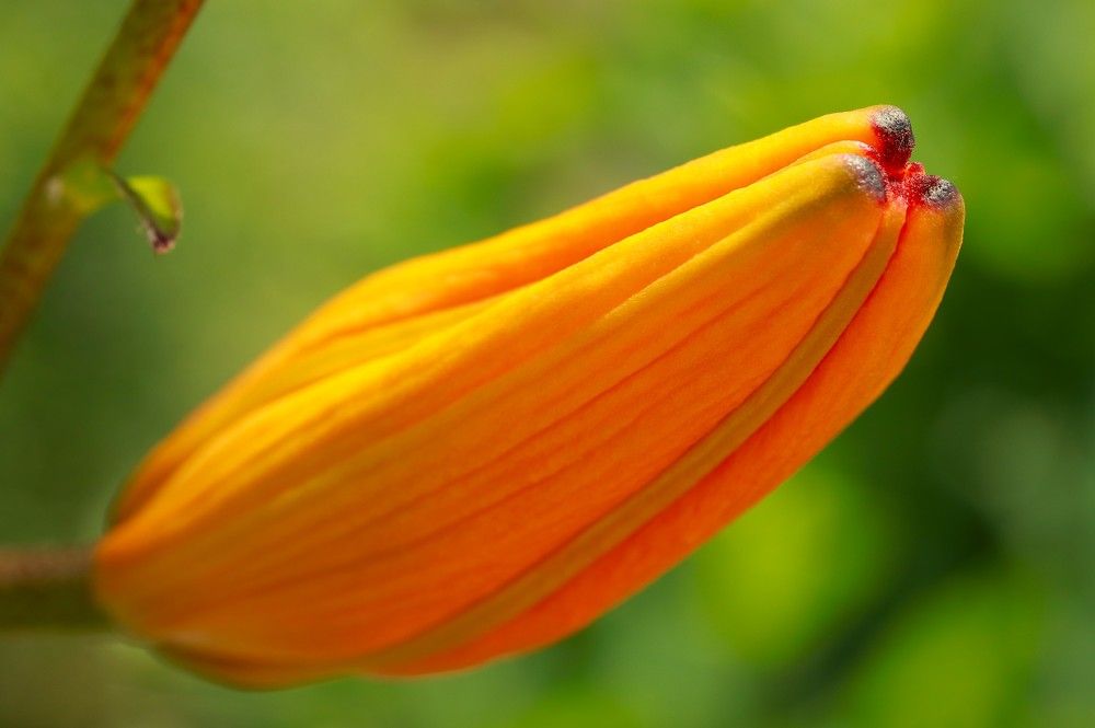 Photograph by Гагик Саркисян