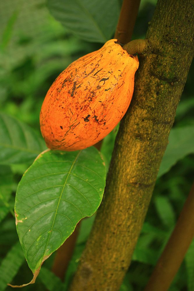 Photograph by Гагик Саркисян