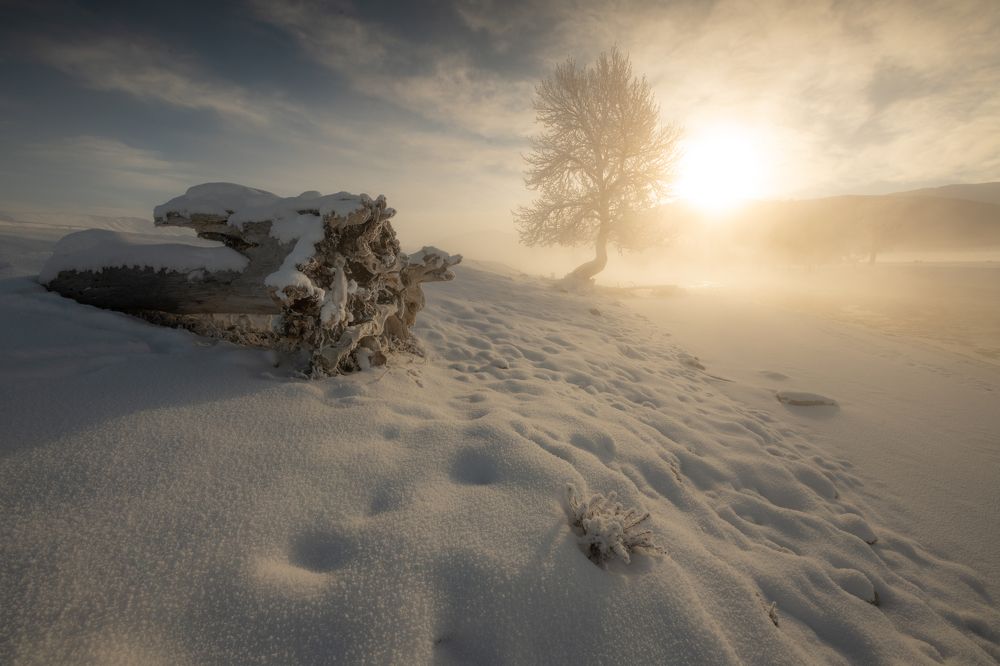 Photograph by Абрамов Денис