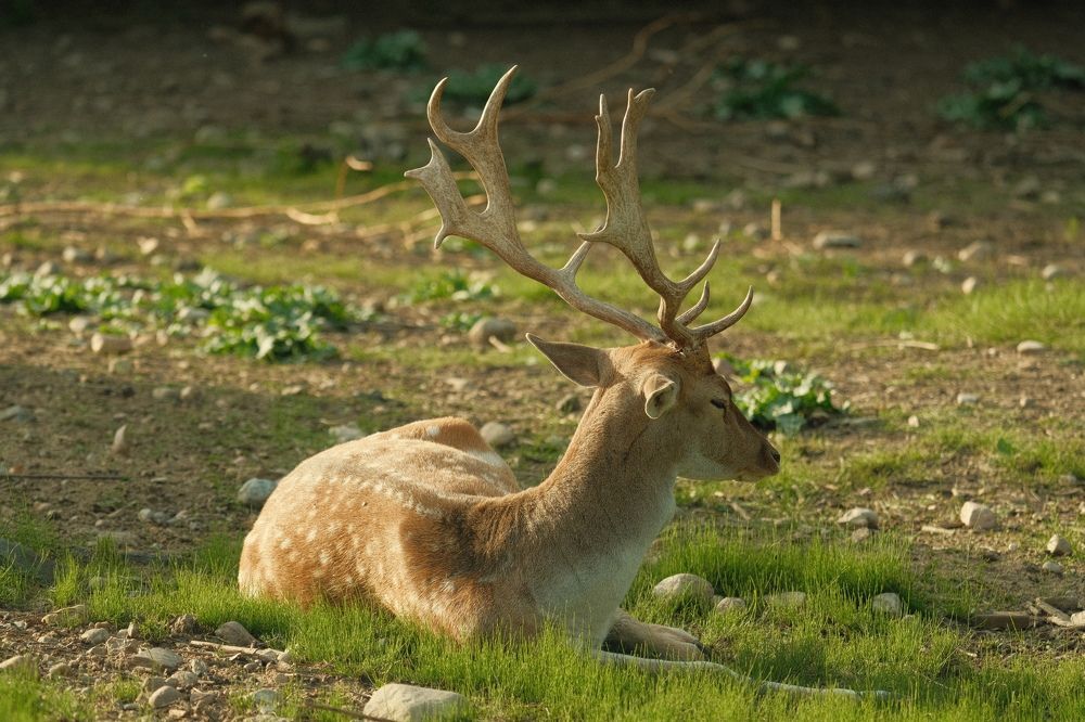 Photograph by Артём BEPTYXA