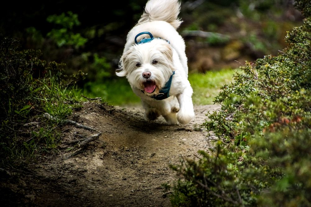 Photograph by Juan Alonso Gutiérrez