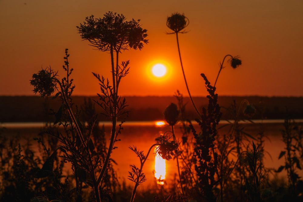 Photograph by Шишкалов Константин