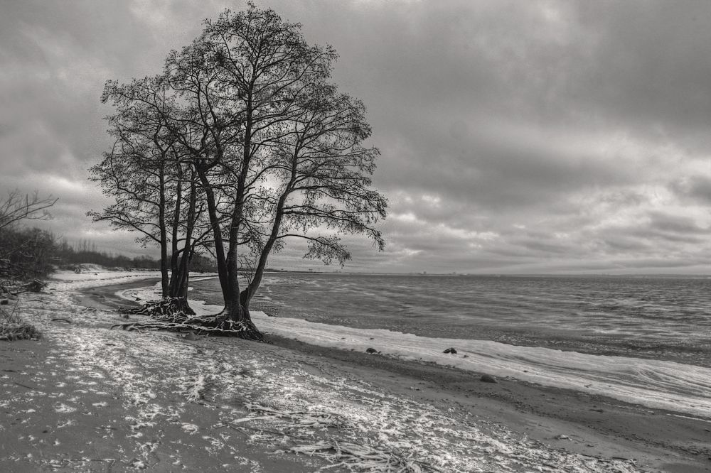Photograph by 