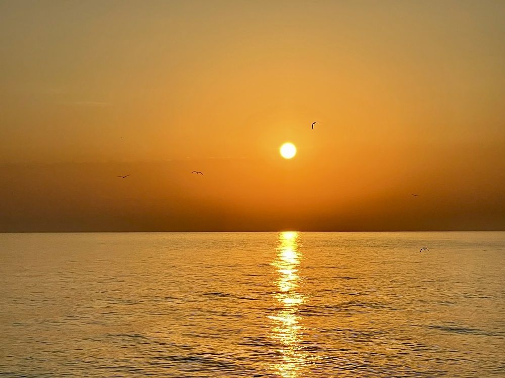 Фотография автора Nadezhda