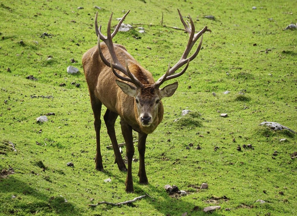 Фотография автора Liudmila Kiermeier