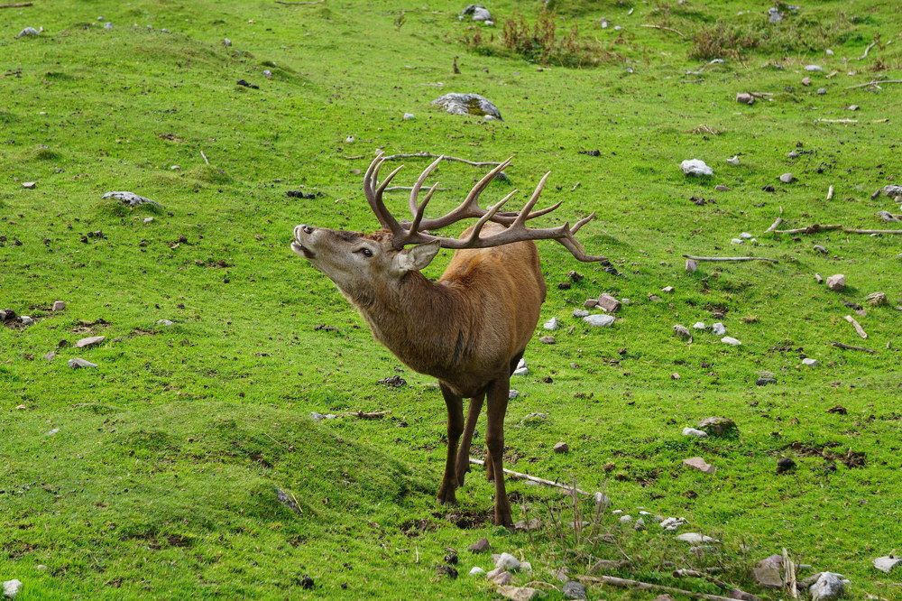 Фотография автора Liudmila Kiermeier