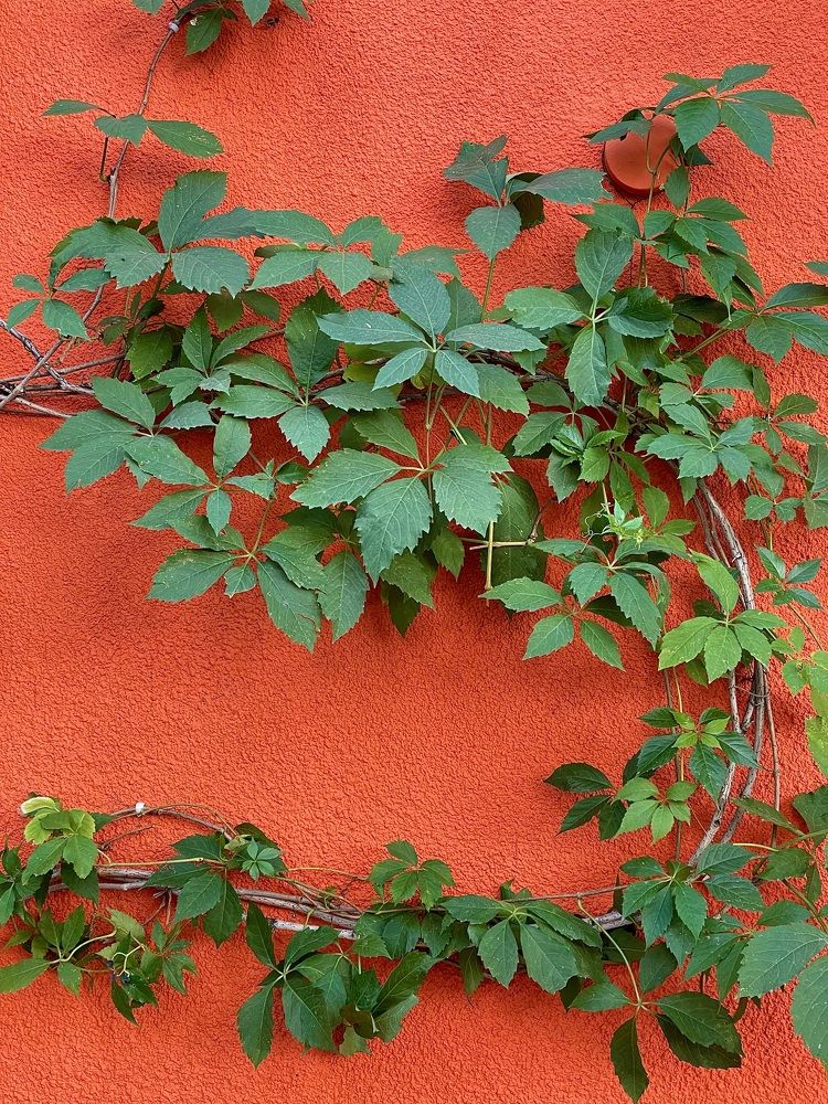 Фотография автора Nadezhda