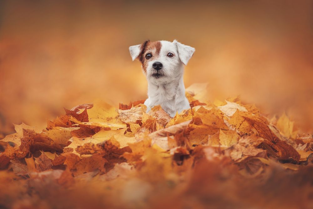 Photograph by Яна Нарбутович