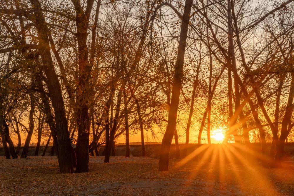 Photograph by Дарья Карамышева