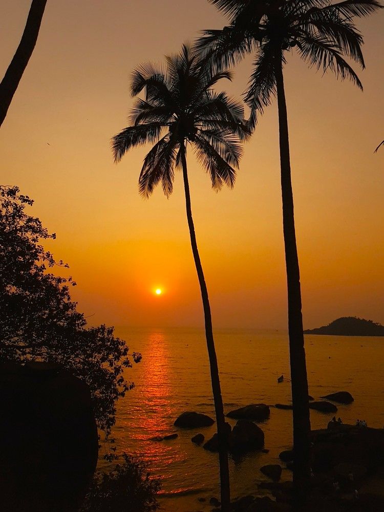 Фотография автора Максим Грибанов