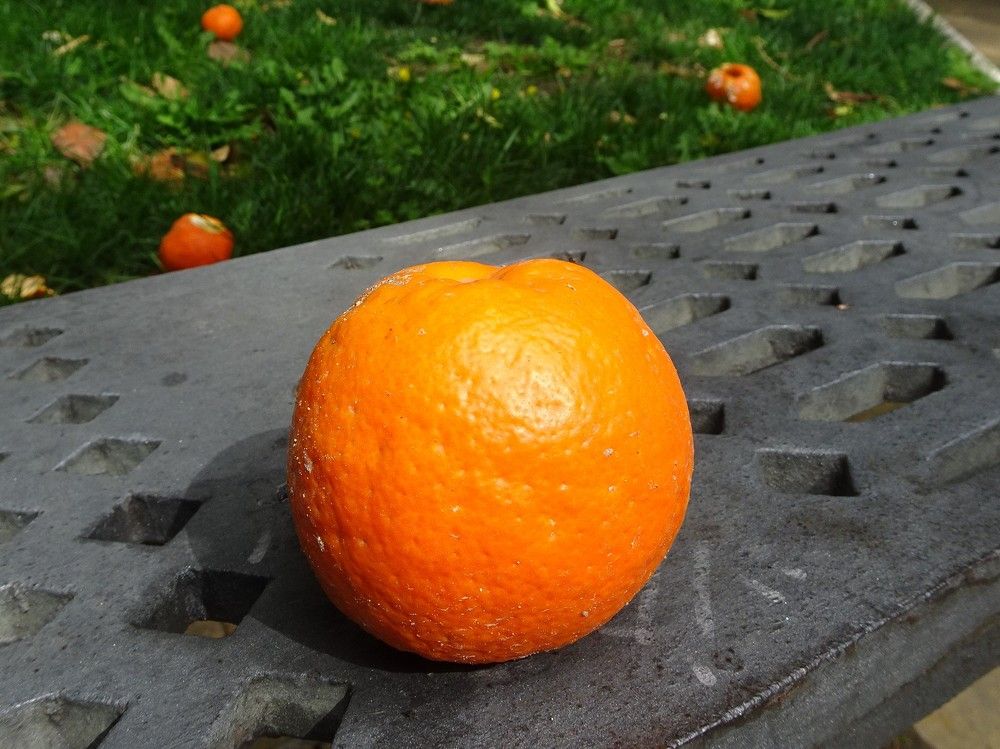 Photograph by Мила Милая