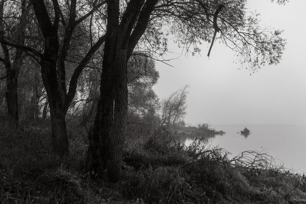 Photograph by Надежда