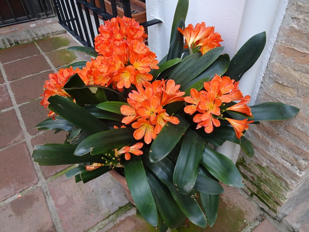 Photograph by Мила Милая