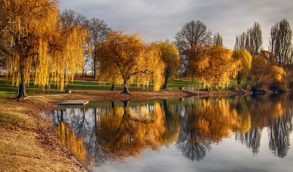 Фотография автора Александр