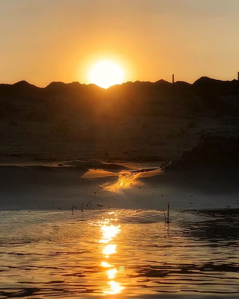 Фотография автора Татьяна Гончарова