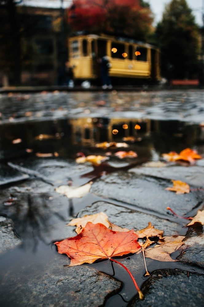 Photograph by Анастасия Лидяева