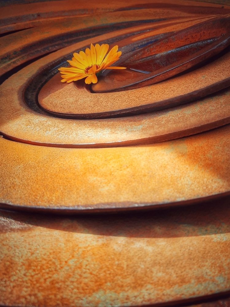 Photograph by OLGA MIKHNEVICH