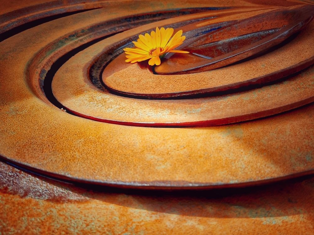 Photograph by OLGA MIKHNEVICH