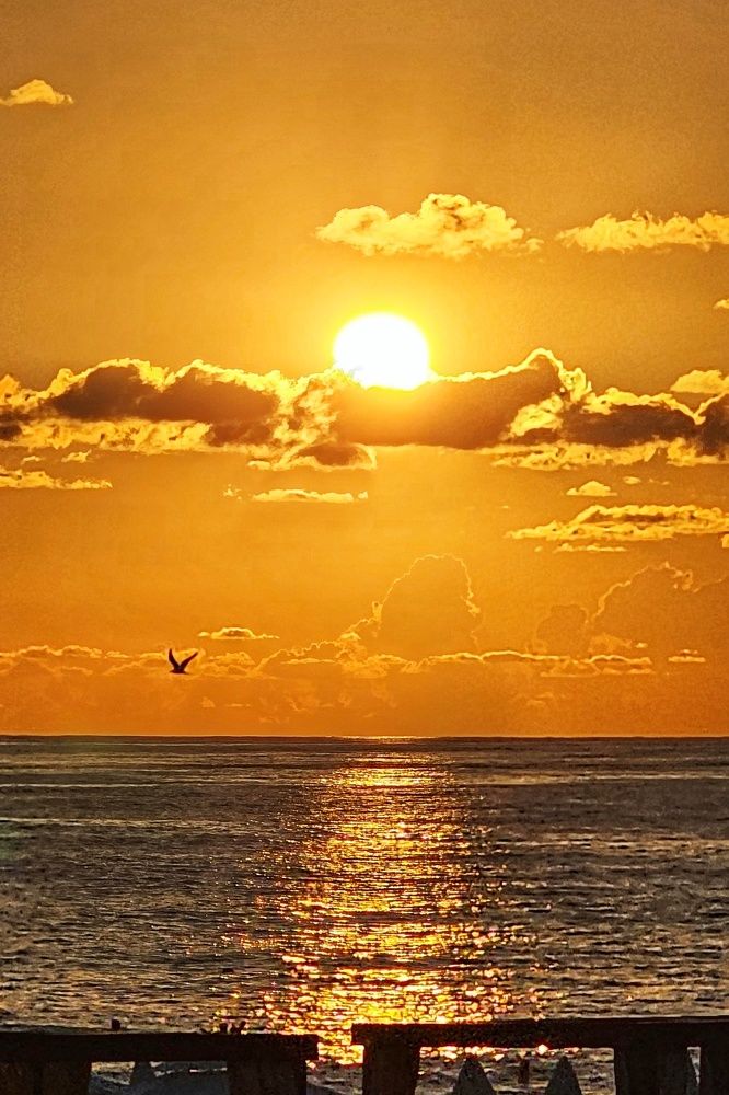 Photograph by Алексей Новиков