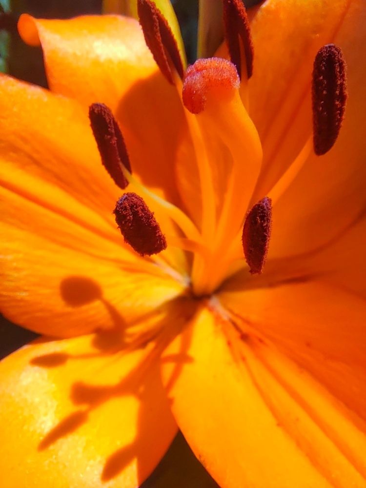 Photograph by Куделенко Оксана