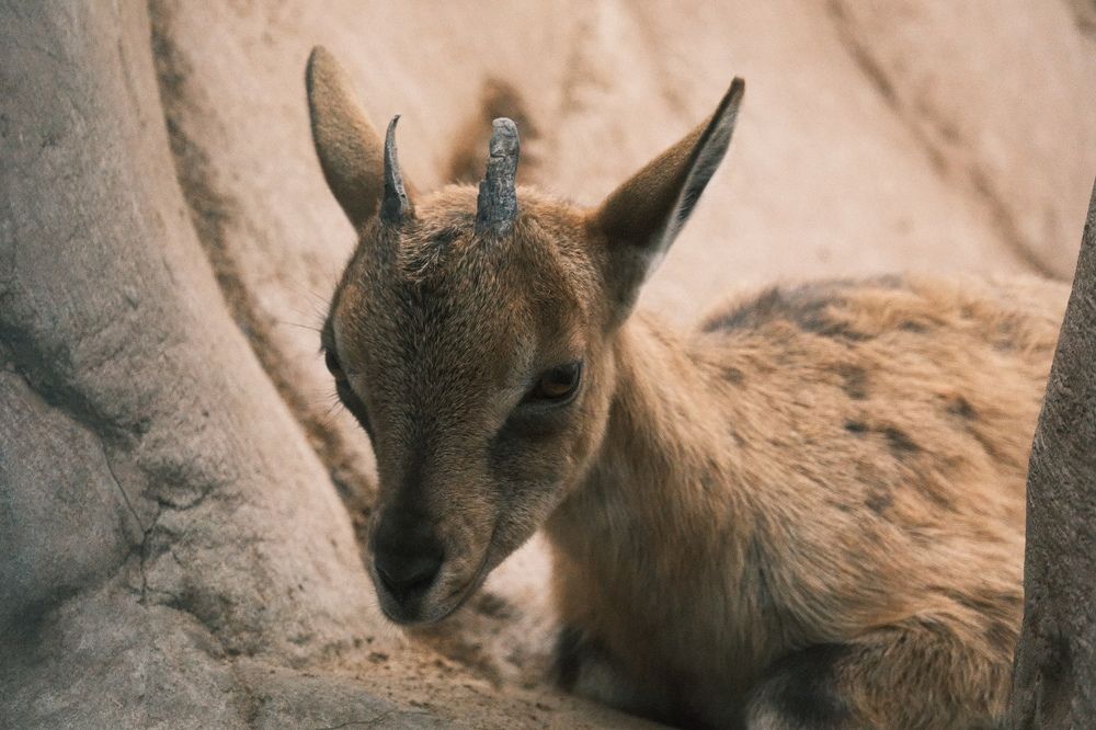 Photograph by Артём BEPTYXA