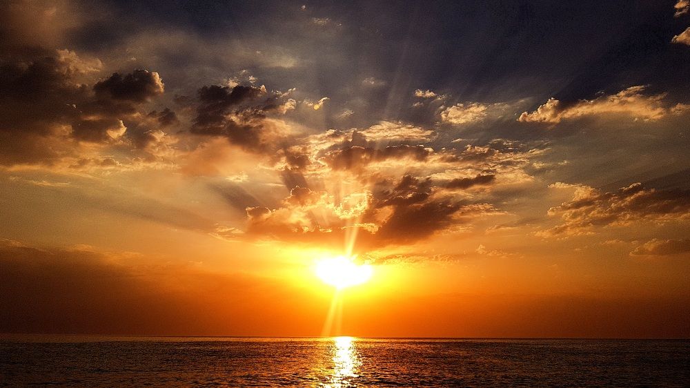 Photograph by Егор Жук