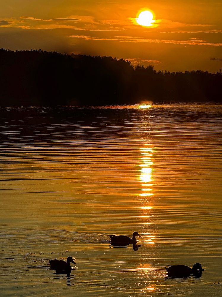 Фотография автора Анна Балабан