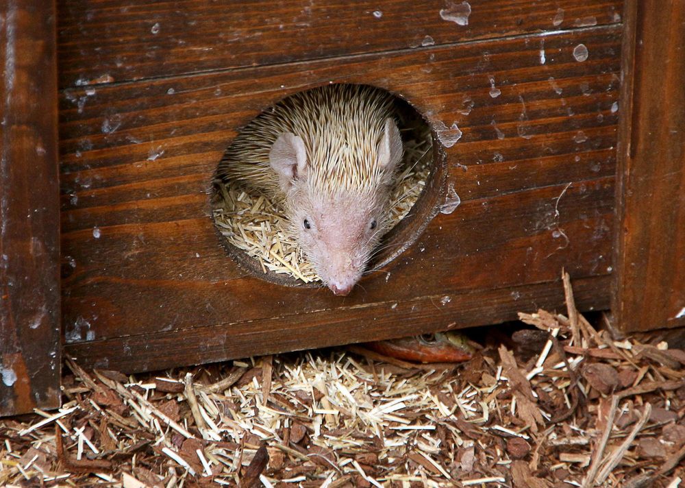 Фотография автора Александр