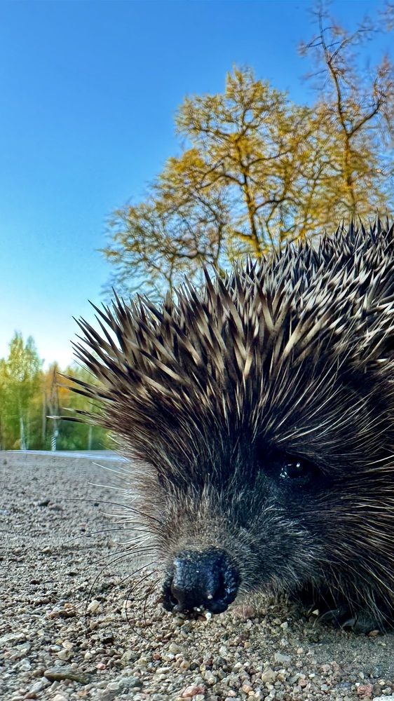 Photograph by Mariia Voloshina