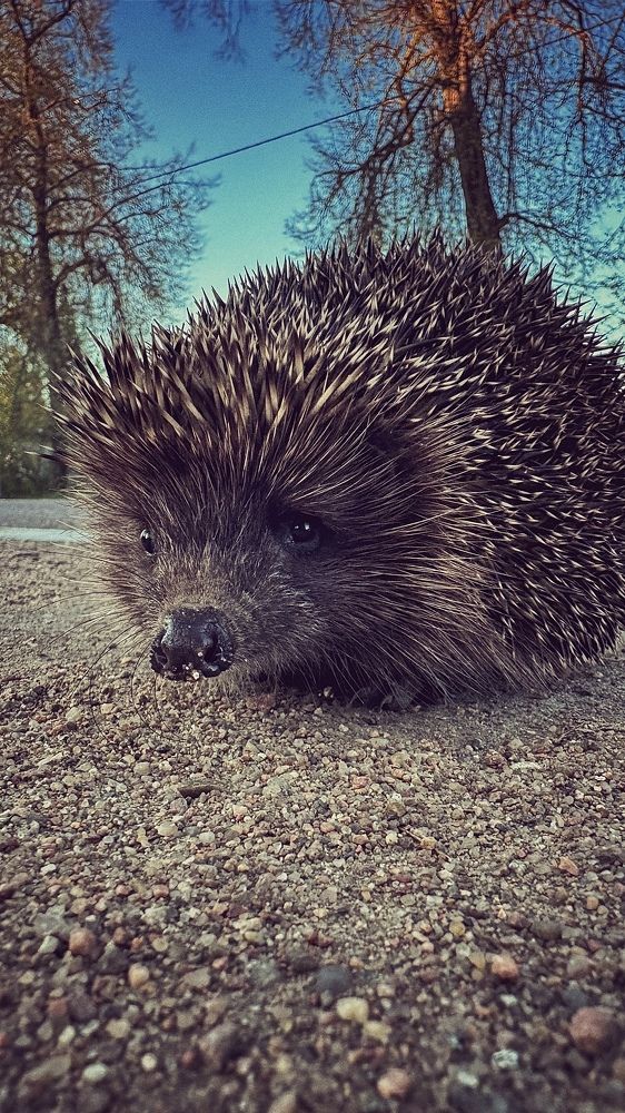 Photograph by Mariia Voloshina