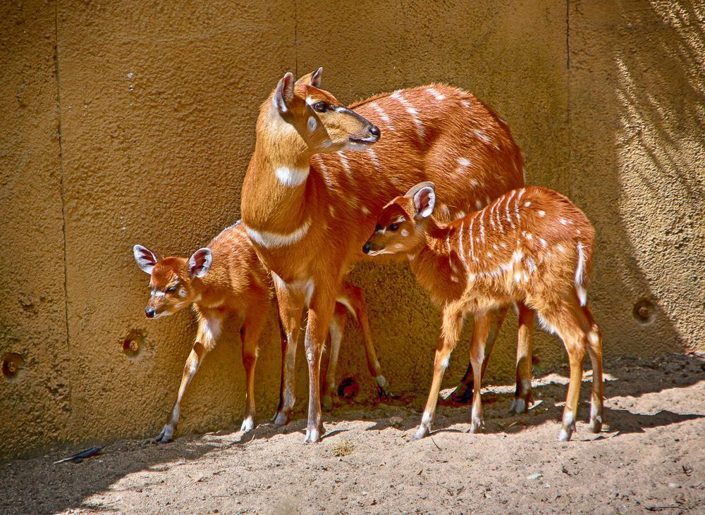 Фотография автора Александр