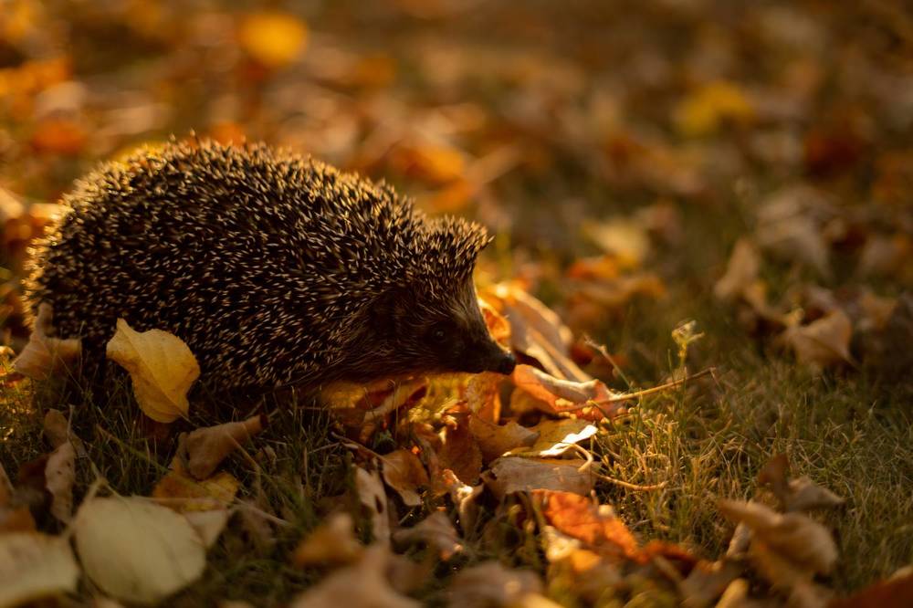 Photograph by Татьяна Захарова