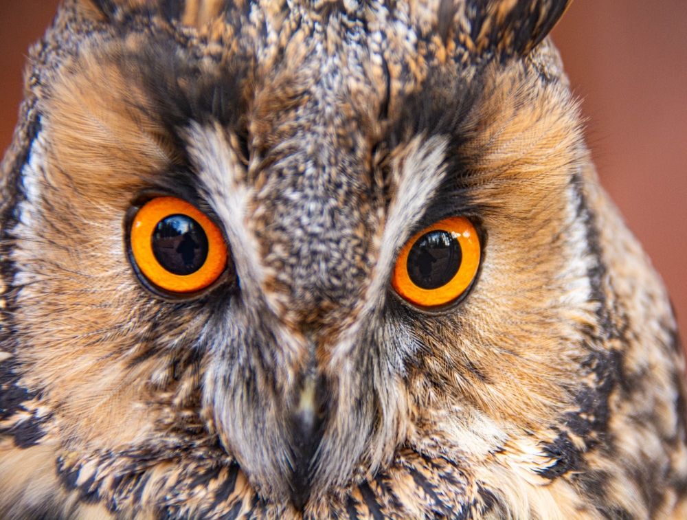 Фотография автора Виктория Зеленкова