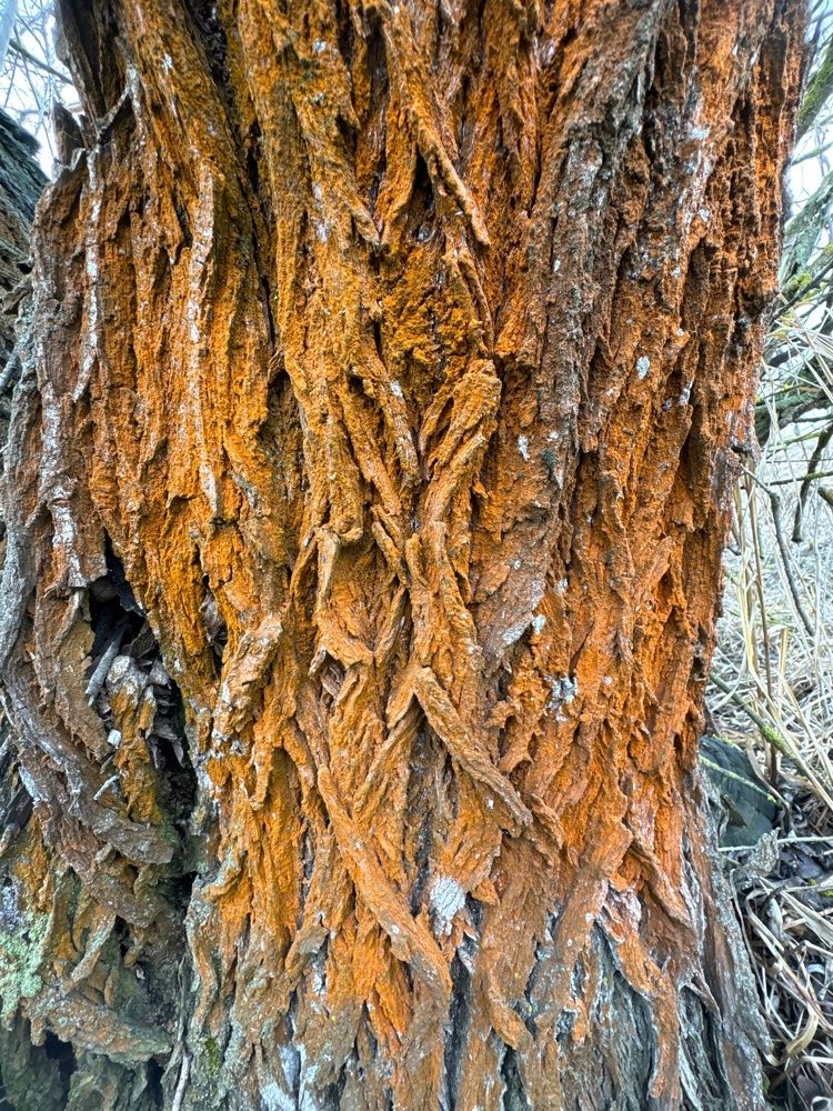 Фотография автора Виктория Зеленкова