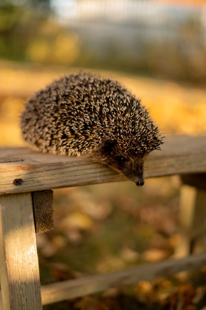 Photograph by Татьяна Захарова