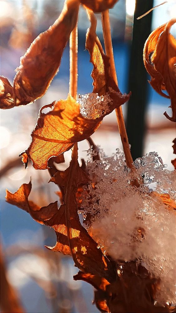 Photograph by Ульяна Северинова