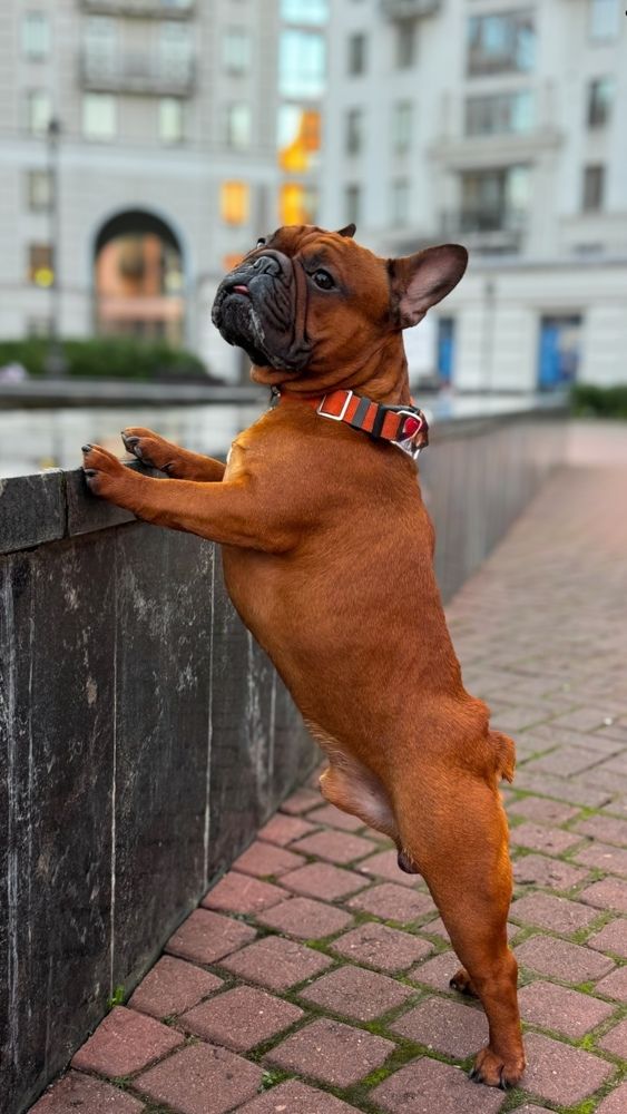 Photograph by Mariia Voloshina