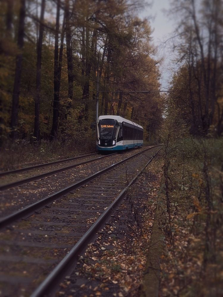 Фотография автора Вера